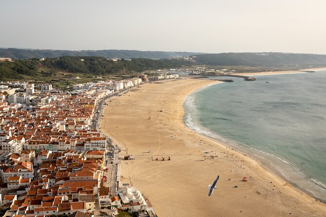Fatima Sanctuary, Pena Palace & Nazare's Big Wave from Lisbon - Price and value: what $422.07 buys you