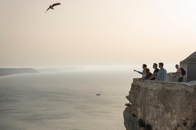 Fatima Sanctuary, Pena Palace & Nazare's Big Wave from Lisbon - Entering Pena’s gardens and spotting the King-Artist story