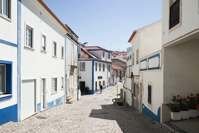 From Lisboa: Mafra, Ericeira & Queluz Small-Group Full Day Tour - Should You Book This Mafra, Ericeira, and Queluz Day Trip?