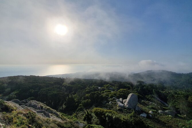 From Lisboa: Sintra, Cabo da Roca & Cascais Private Full Day Tour - Monserrate: Romantic Palace Grounds With an Easy “Choose Your Pace” Feel