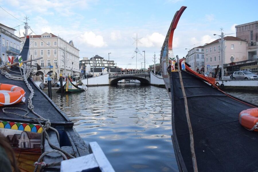 From Lisbon: Aveiro and Coimbra Food Experience - Key highlights to know before you go