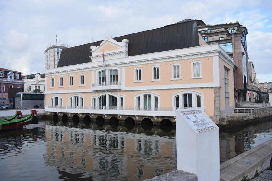 From Lisbon: Aveiro and Coimbra Food Experience - From Lisbon to Aveiro canals: the boat ride that sets the tone