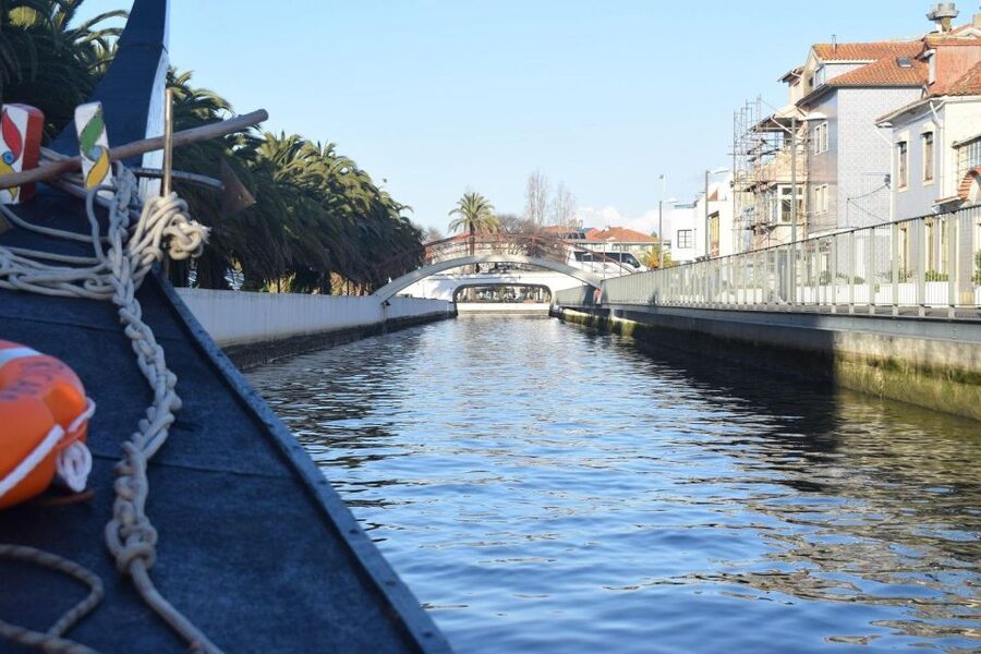 From Lisbon: Aveiro and Coimbra Food Experience - Mealhada for suckling pig: the detour that turns the day into a meal you’ll remember