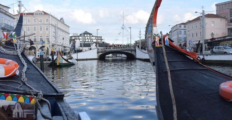 From Lisbon: Aveiro and Coimbra Food Experience - Costa Nova Beach or Aveiro monuments: how to spend your time