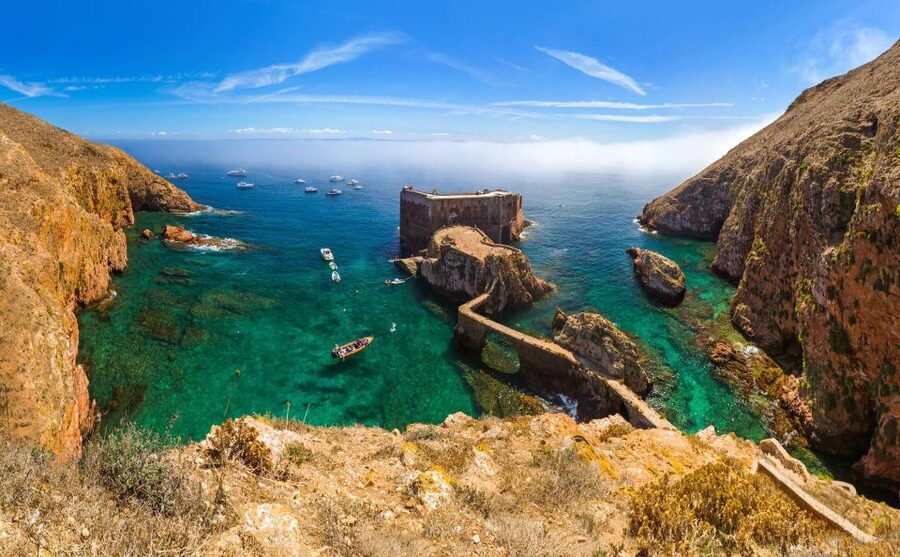 From Lisbon: Berlenga Grande Island Private Tour - Key things to know before you go