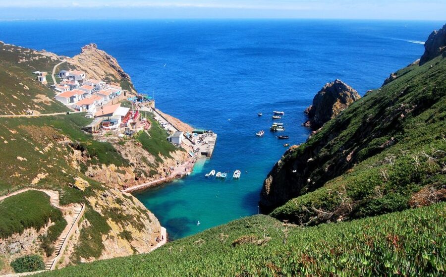 From Lisbon: Berlenga Grande Island Private Tour - From Lisbon’s hotel lobby to the Atlantic in one day