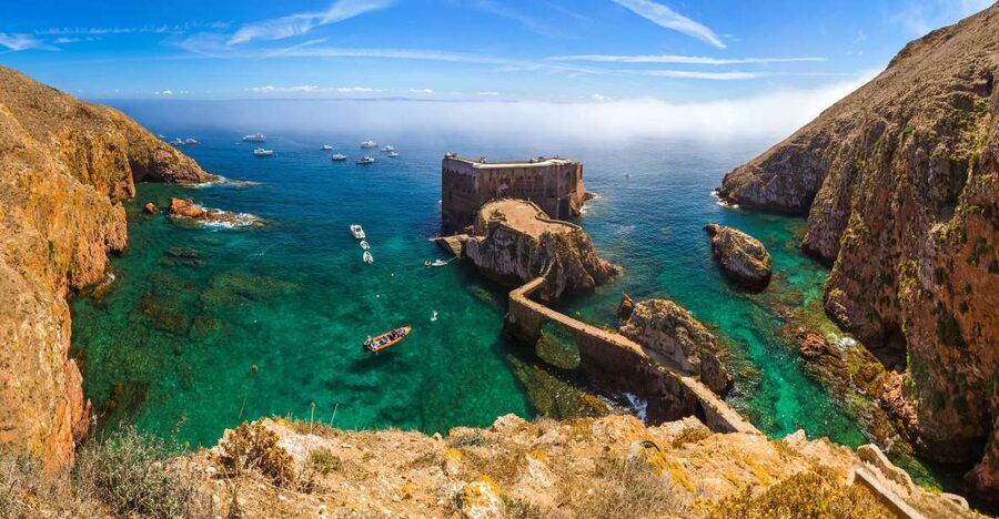 From Lisbon: Berlenga Grande Island Private Tour - Pickup options and how the day stays organized