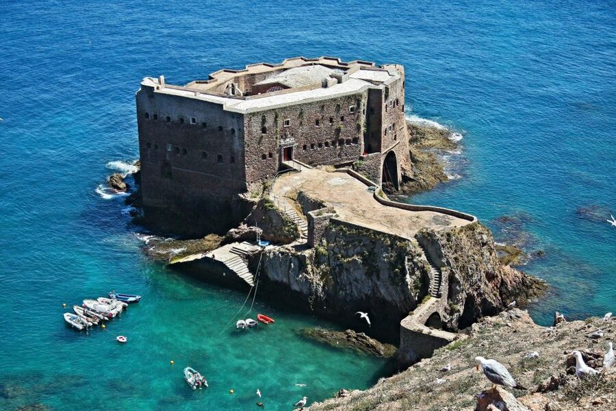 From Lisbon: Berlenga Grande Island Private Tour - Time on Berlenga Grande: free time, swimming options, and what to do