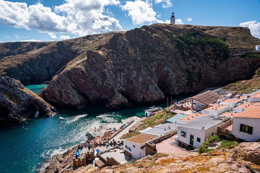From Lisbon: Berlenga Grande Island Private Tour - Who this private Berlenga and Óbidos day is best for