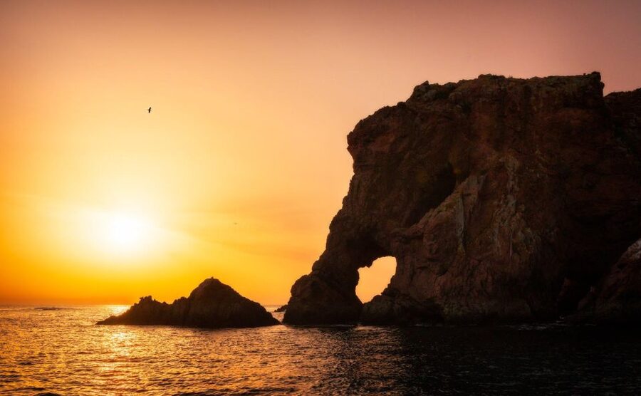 From Lisbon: Berlenga Grande Island Private Tour - Price and value: what you are paying for at $222 per person