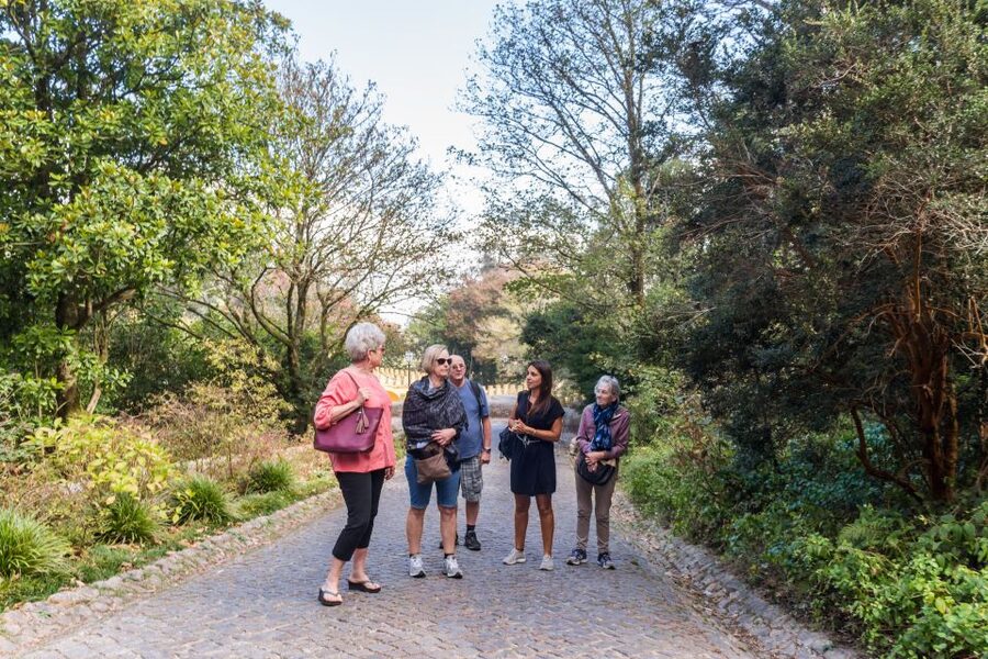 From Lisbon: Best of Sintra and Cascais Guided Day Tour - Pena Palace: What the Guide Brings That You Might Miss
