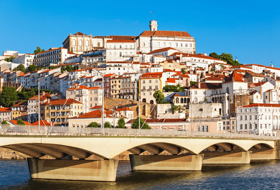 From Lisbon: COIMBRA and AVEIRO - Aveiro canals and the moliceiro boat ride