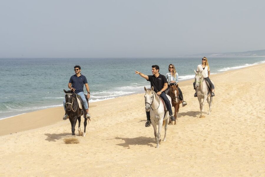 From Lisbon: Comporta and Setúbal Trip with Horseback Riding - Key things I’d circle before you go