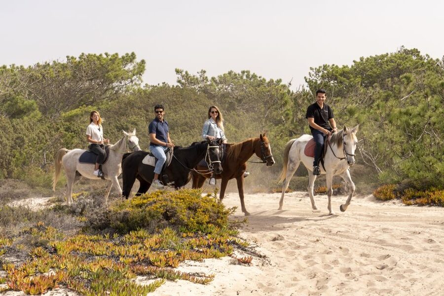 From Lisbon: Comporta and Setúbal Trip with Horseback Riding - Should you book this Lisbon to Comporta trip?