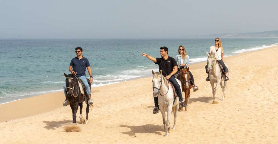 From Lisbon: Comporta and Setúbal Trip with Horseback Riding - A 6-hour combo of port city, ferry coast, and beach riding