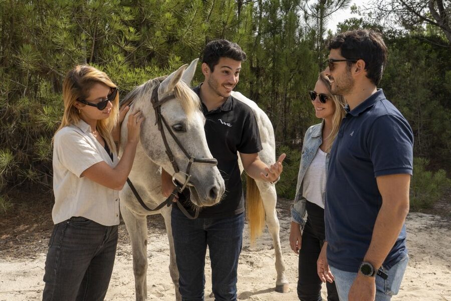 From Lisbon: Comporta and Setúbal Trip with Horseback Riding - Comporta horse riding: rice fields, pine woods, and white sand