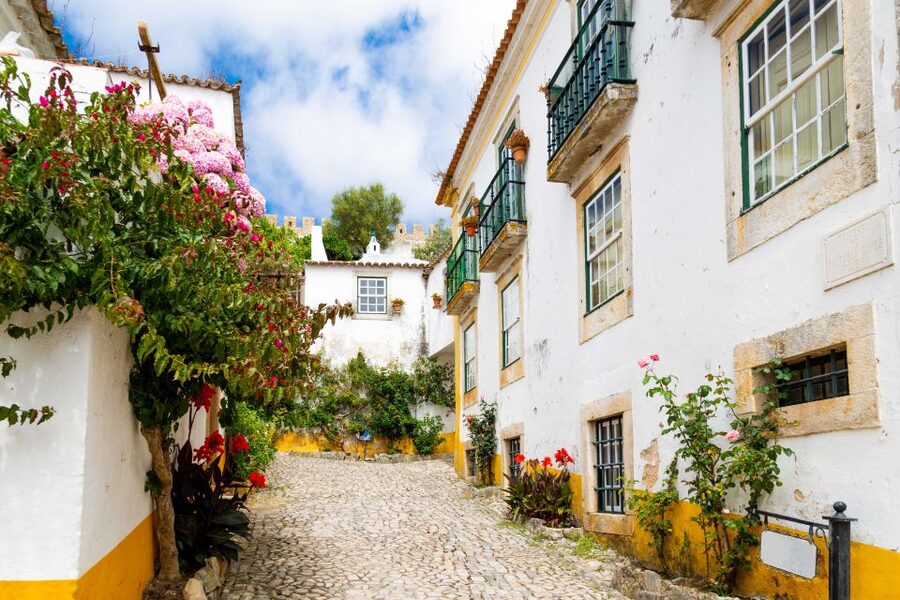 From Lisbon: Day Trip to Porto, Óbidos, and Nazaré - Bus comfort, hearing the guide, and staying sane on a long day
