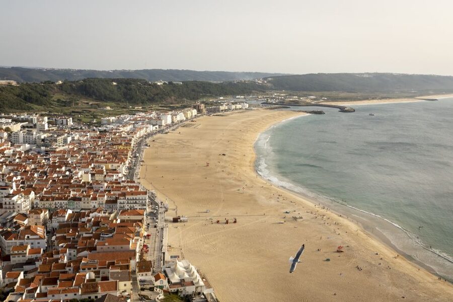 From Lisbon: Day Trip to Porto, Óbidos, and Nazaré - A quick note on guides: the difference between good and great