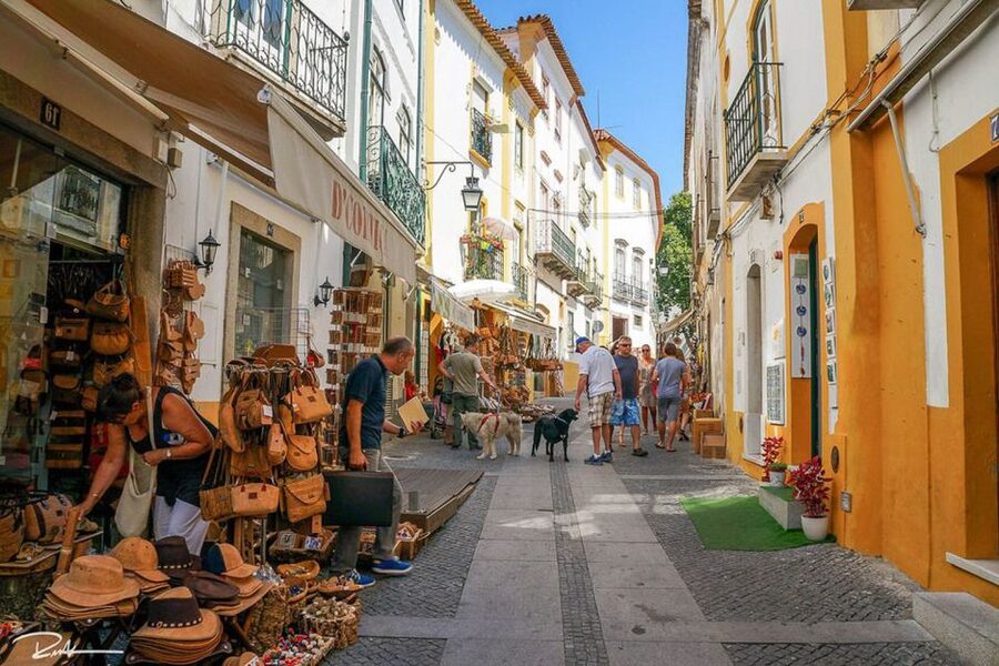 From Lisbon: Évora City Private Tour - Évora Historic Center Visit: Cathedral Time Without the Rush