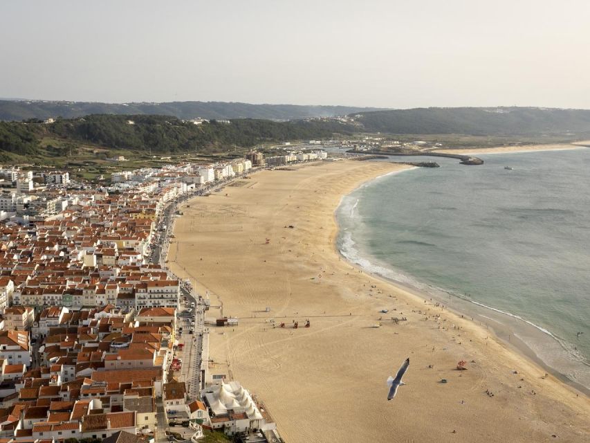 From Lisbon: Fátima, Nazaré and Sintra Guided Tour - Traveling Out of Lisbon, What 9 Hours Really Means