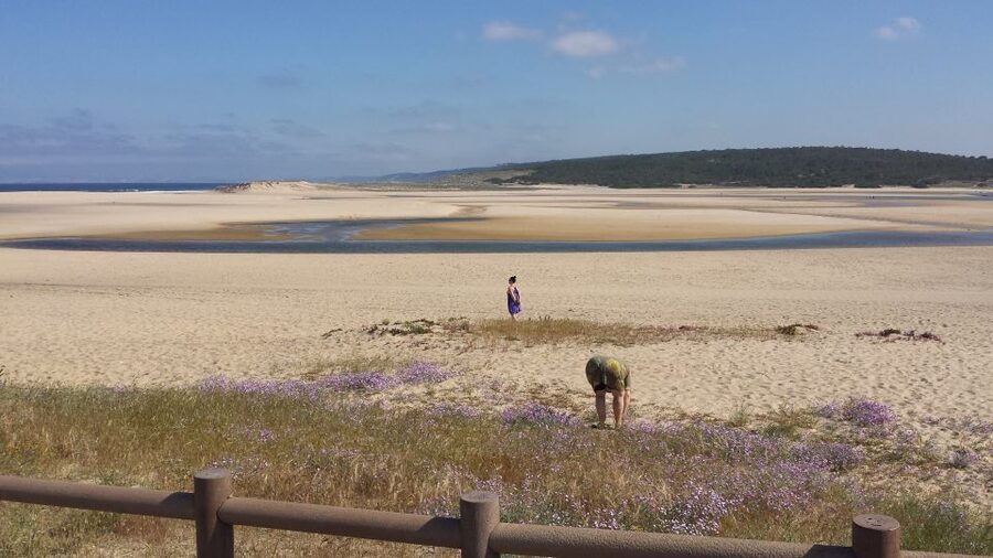 From Lisbon: Half-Day Arrábida Tour w/ Transfers - Why Arrábida is perfect for a half-day detour from Lisbon