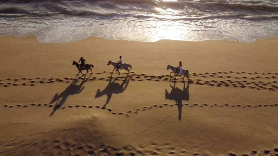 From Lisbon: Horseback Riding on Comporta Beach - Key points before you go