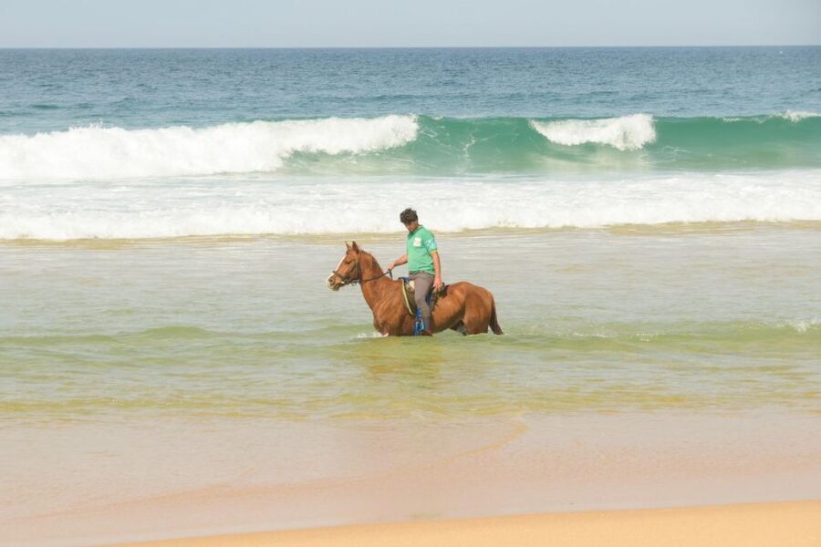 From Lisbon: Horseback Riding on Comporta Beach - Lisbon to Comporta Nature Reserve: plan for the ride time, not just the horse time