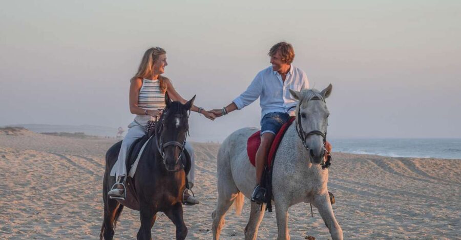 From Lisbon: Horseback Riding on Comporta Beach - The Comporta beach and dunes ride: what 2 hours on horseback actually feels like