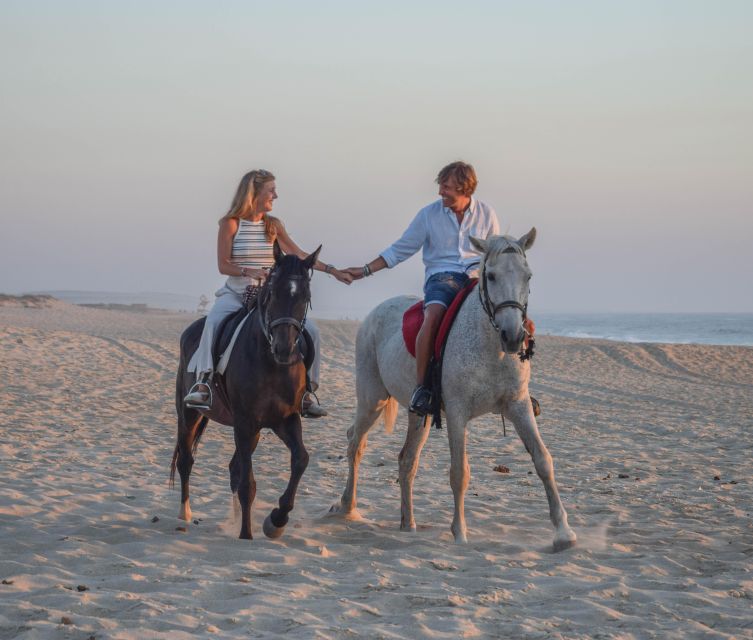 From Lisbon: Horseback Riding on Comporta Beach - Atlantic forest to almost-deserted shoreline: why this route is more than a beach photo
