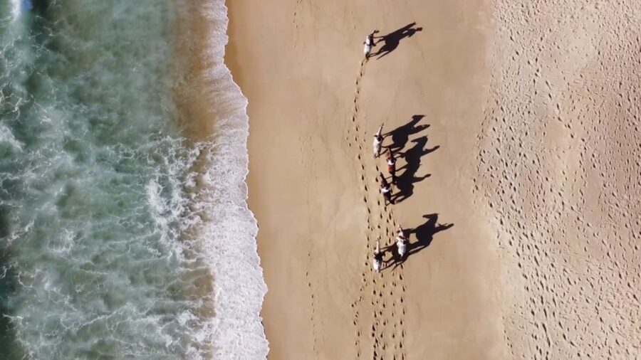 From Lisbon: Horseback Riding on Comporta Beach - Group size, guides, and language: small group means less standing around