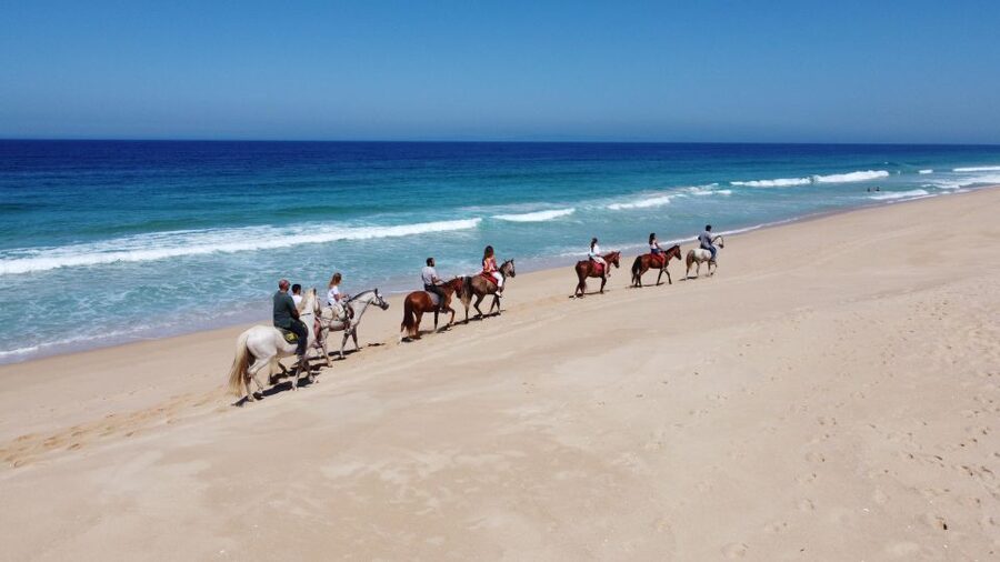 From Lisbon: Horseback Riding on Comporta Beach - Food, timing, and what to do before and after