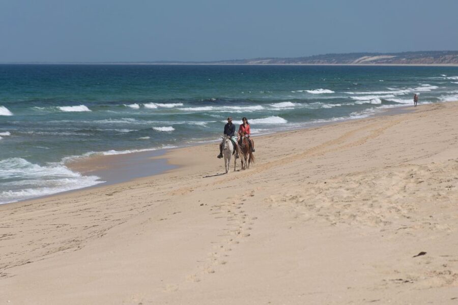 From Lisbon: Horseback Riding on Comporta Beach - Price and value: is $165 per person fair for what you get?