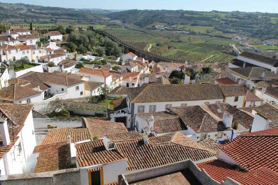 From Lisbon: Óbidos and Mafra Palace Private Tour - Inside the Library and Basilica, the Real “Wow”
