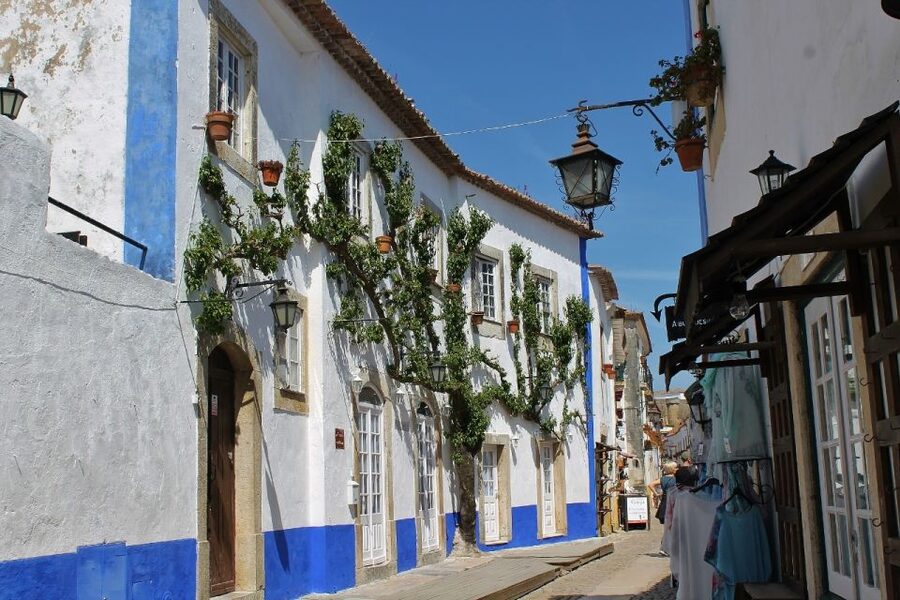 From Lisbon: Óbidos and Mafra Palace Private Tour - Mafra Palace: One Complex, Four Functions, Thousands of Rooms