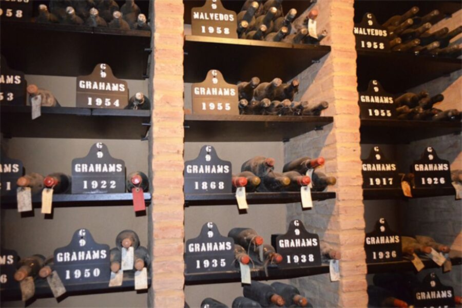 From Lisbon: Porto Full-Day Private Tour - Who this tour fits best, and who should choose another plan
