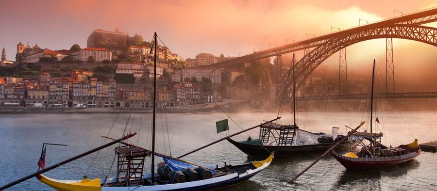 From Lisbon: Porto Private Full-Day Tour - Key highlights worth planning around