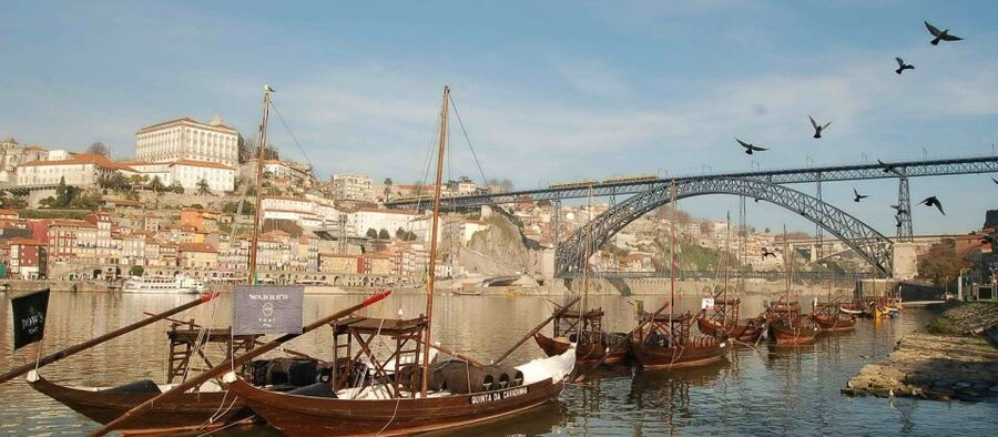 From Lisbon: Porto Private Full-Day Tour - Port wine tasting, the fortified story behind the drink