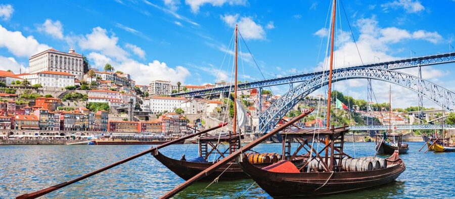 From Lisbon: Porto Private Full-Day Tour - Douro river region views, why the scenery feels tied to the wine
