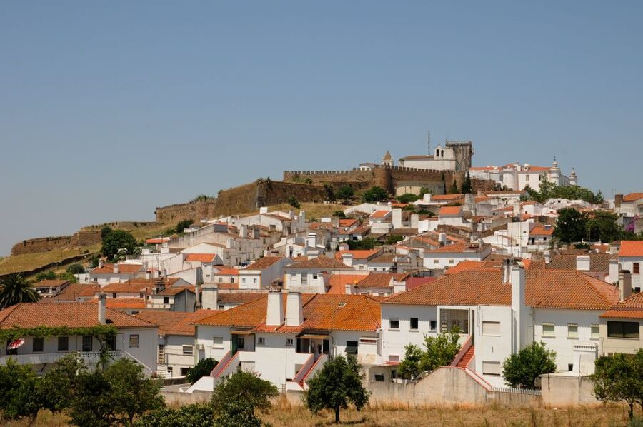 From Lisbon: Private Customized Small-Group Tour to Evora - Price, value, and what to budget on the spot