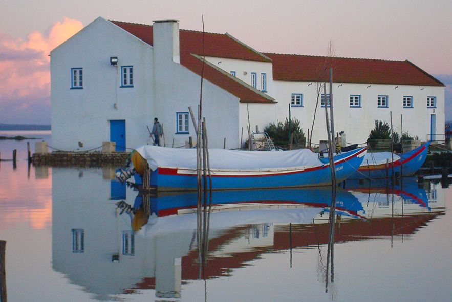 From Lisbon: Private Scenic Wine Tour in Arrabida - Price and Logistics: Is 338 Per Person Actually Good Value?