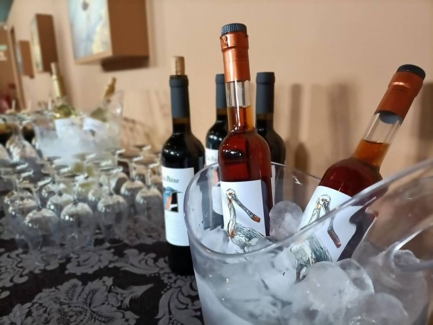From Lisbon: Private Scenic Wine Tour in Arrabida - Comfort, Timing, and Easy Planning for Families and Seniors