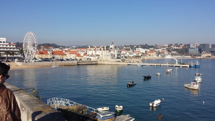 From Lisbon: Private Sintra Sightseeing Tour - Moorish Castle in the Mountains: Where the Views Earn the Climb