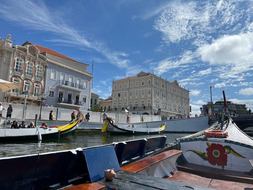 From Lisbon: Private Transfer to Porto with City Stops - Private van logistics that matter: pickup areas, group size, and comfort