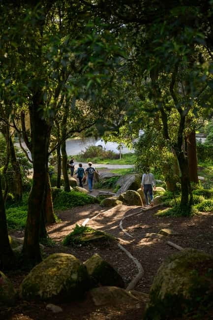 From Lisbon - Regaleira, Cabo da Roca, Forest & True Sintra - Enchanted forest time and secret viewpoints without the ticket lines