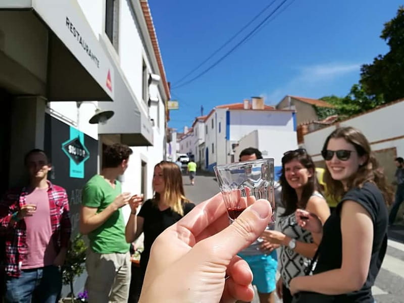 From Lisbon - Regaleira, Cabo da Roca, Forest & True Sintra - Who should book, and who might not love it
