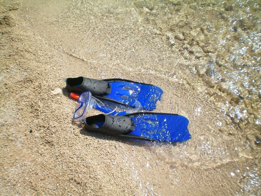 From Lisbon: Sesimbra Wild Beach Tour - Lisbon to Sesimbra: how the day actually flows