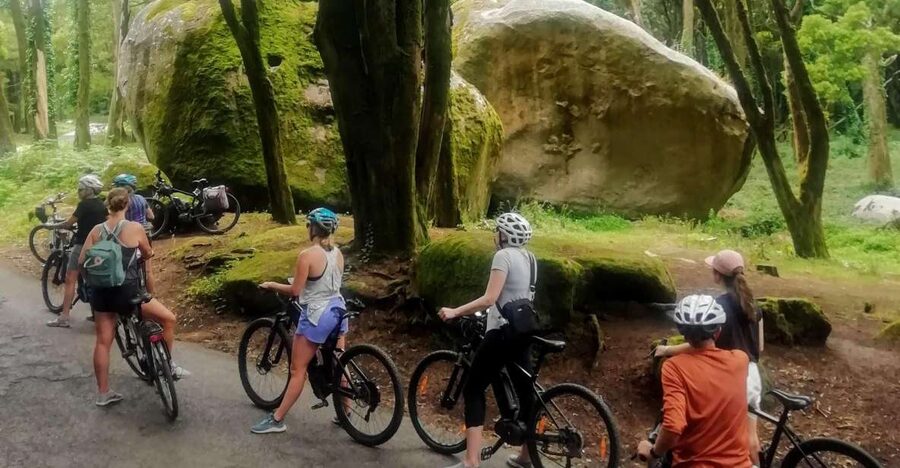From Lisbon: Sintra and Cascais E-Bike Tour - Key highlights worth planning around