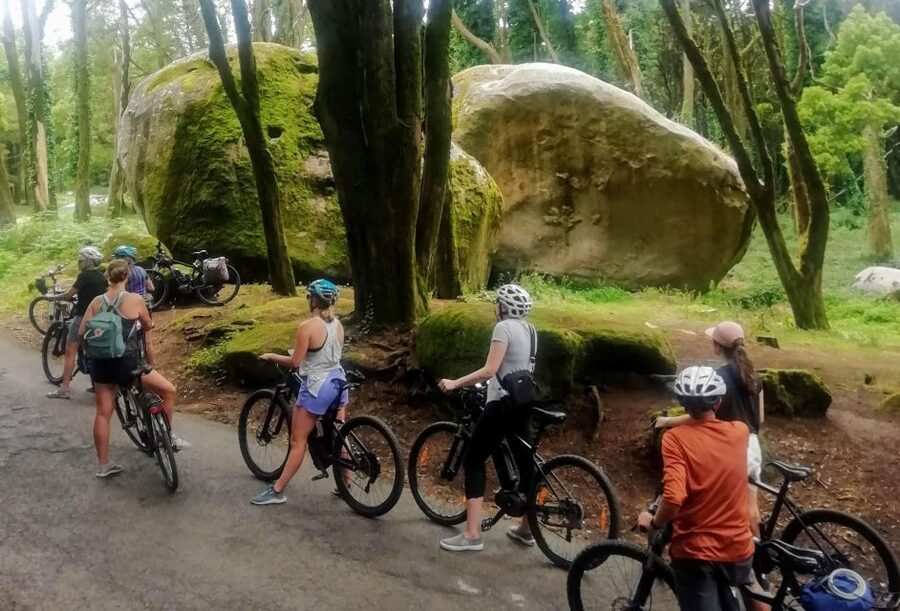 From Lisbon: Sintra and Cascais E-Bike Tour - Starting near Santa Apolónia, then shifting into the park mindset