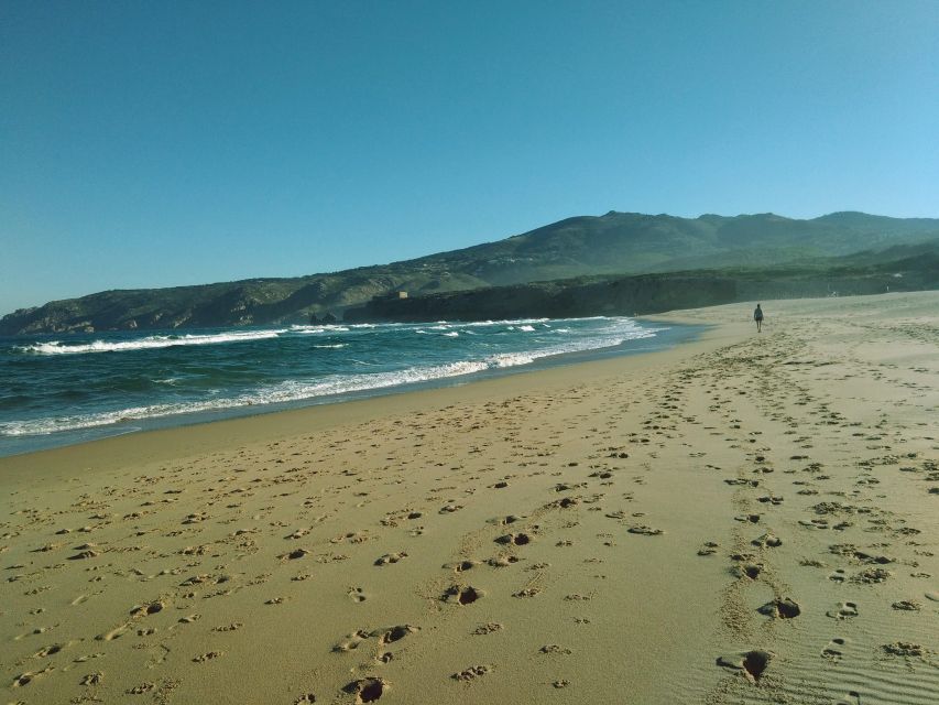 From Lisbon: Sintra and Cascais Natural Park Private Tour - Key things I’d watch for