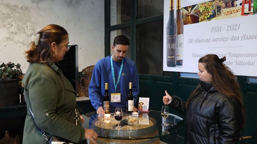 From Lisbon: Sintra, Pena Palace, Cascais and Wine Tasting - Colares wine cellars: a tasting with depth, not just a sip